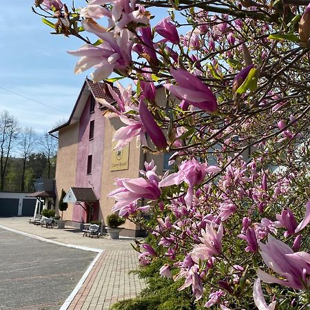 Aparthotel Obiekt "Czarny Rycerz" Jastrzębie Zdrój Exterior foto