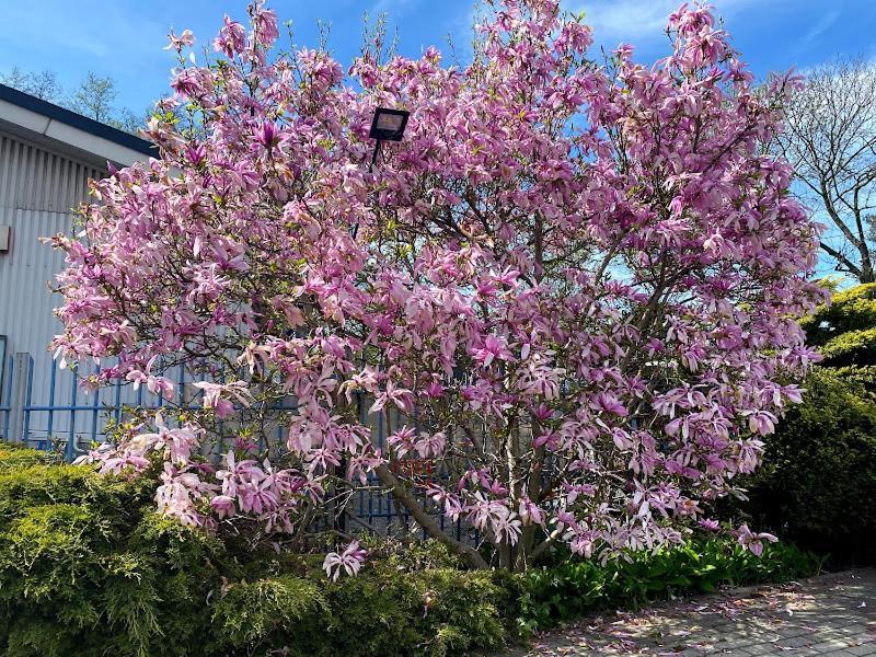Aparthotel Obiekt "Czarny Rycerz" Jastrzębie Zdrój Exterior foto