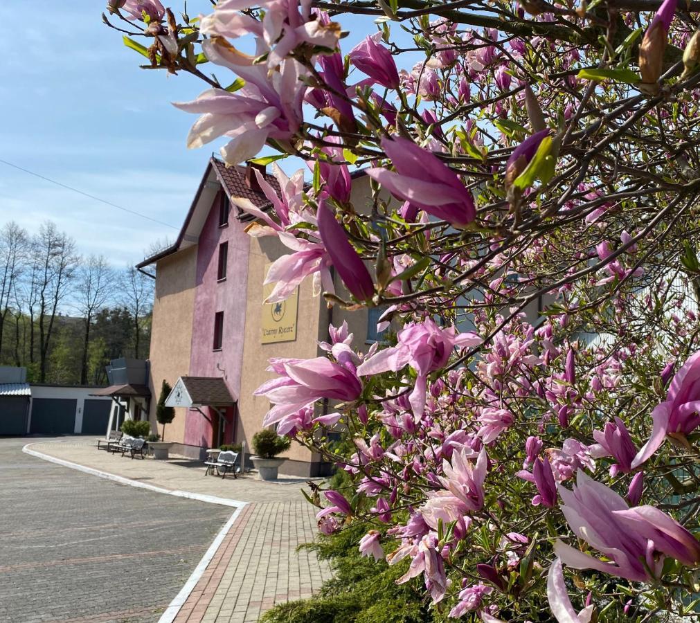 Aparthotel Obiekt "Czarny Rycerz" Jastrzębie Zdrój Exterior foto